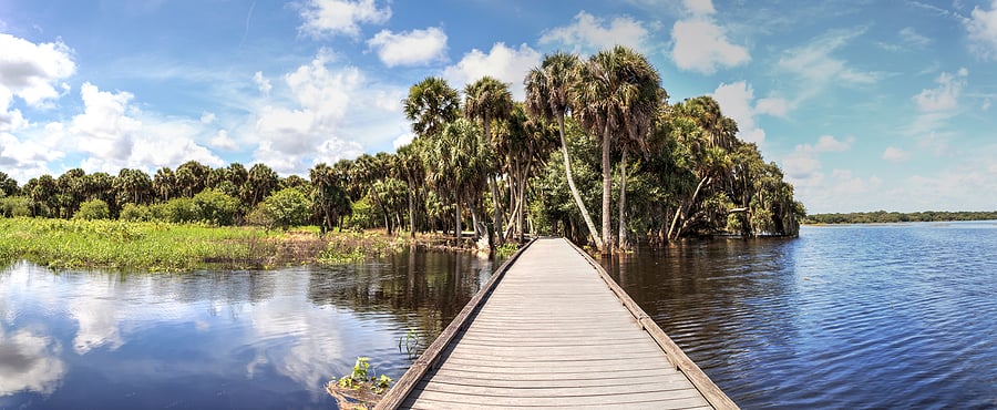 bigstock-Boardwalk-Overlooking-The-Floo-371995765